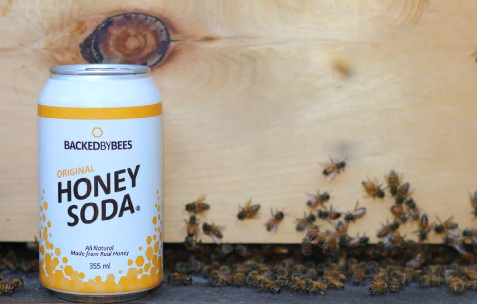Honey Soda Can with bees